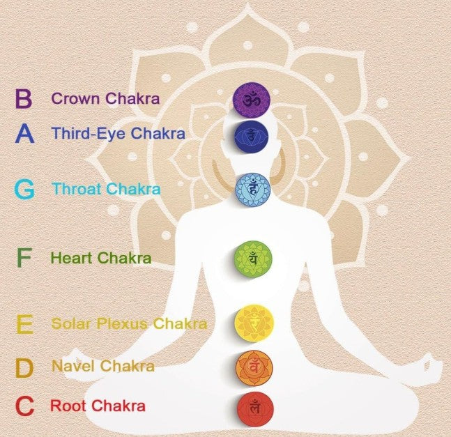 CL12 - 6 Inch Alchemy Crystal Singing Bowl, 440Hz Clear Purple Quartz Chakra Bowl, For Yoga, Sound Healing, Meditation, With Free Acrylic Striker & O-ring